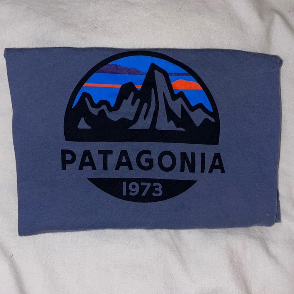 Patagonia Tee